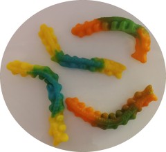 DP Jelly Caterpillar