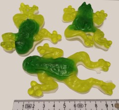 Fini Giant Clear Frog