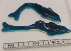 Vidal Giant Clear Dolphin